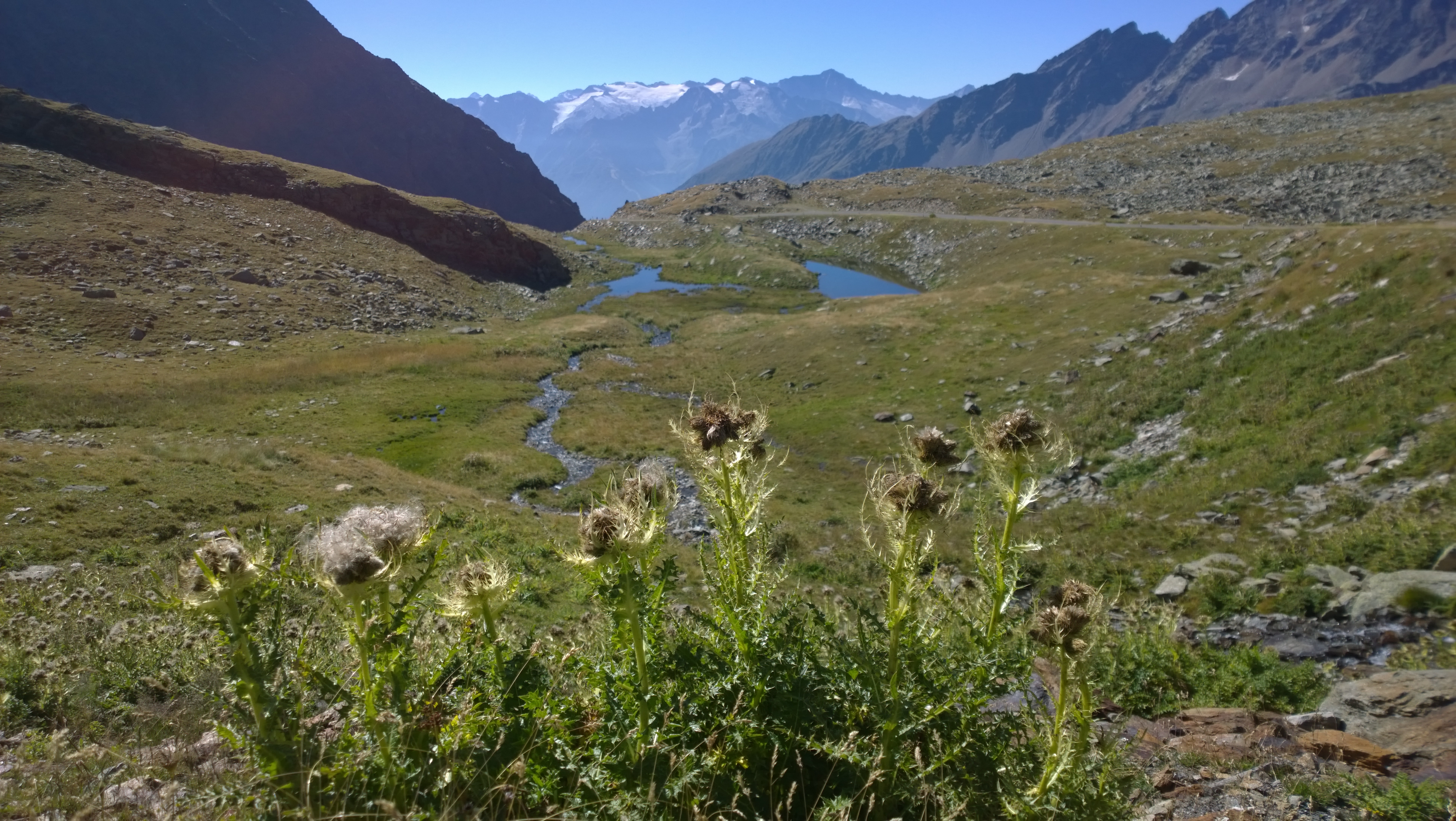 WP_20150829_10_53_00_Pro