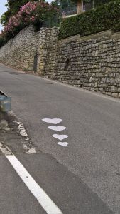 WP_20160722_13_25_45_Pro